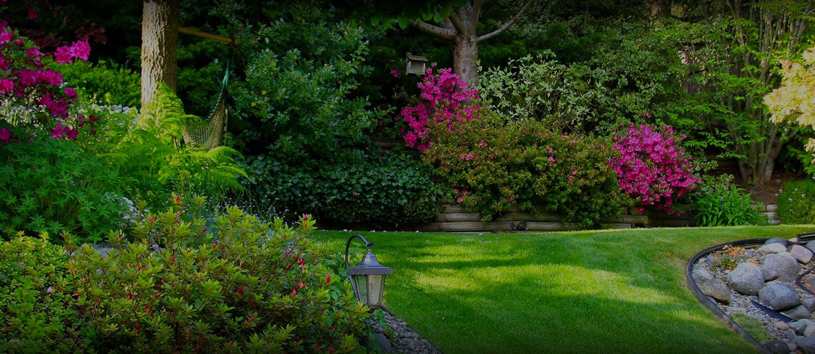 A <span class="t-color1">Full <br>Tree</span> Company