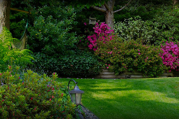 A <span class="t-color1">Full <br>Tree</span> Company