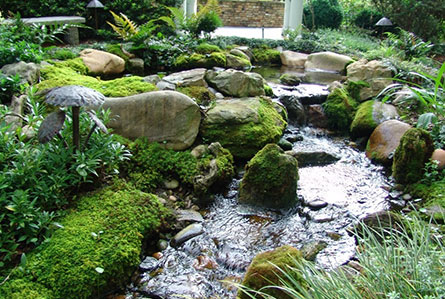 Landscape Maintenance